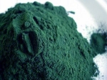  2 adet x 100 g Spirulina Toz Form Net:200g (Paket - 2'li Set) (STT:27.07.2026)